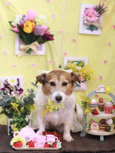 20230322こはるちゃん